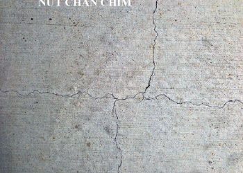 Tường bị nứt chân chim